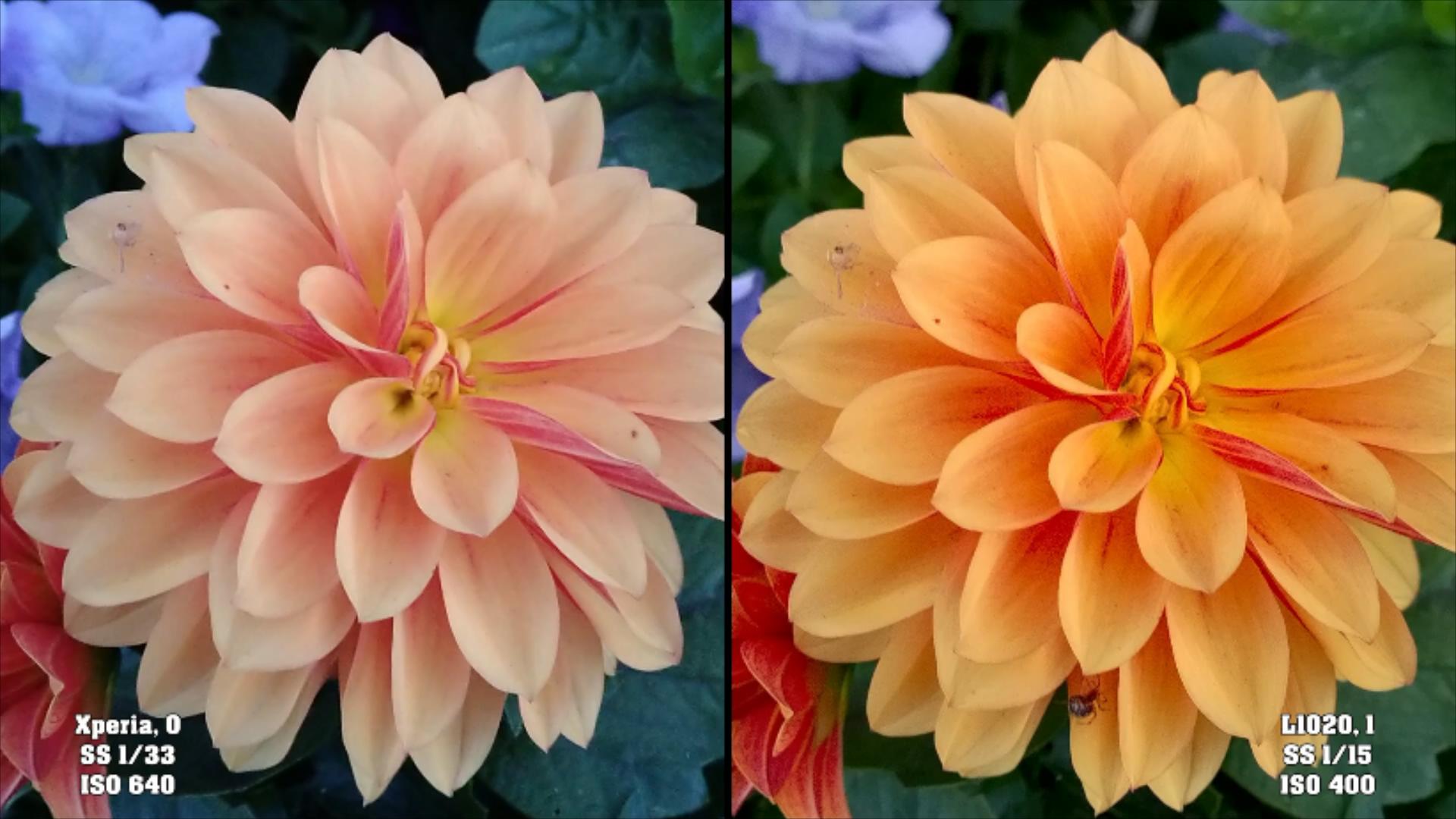 索尼xperia10iii拍照对比苹果12,诺基亚1020拍照对比iphone12promax