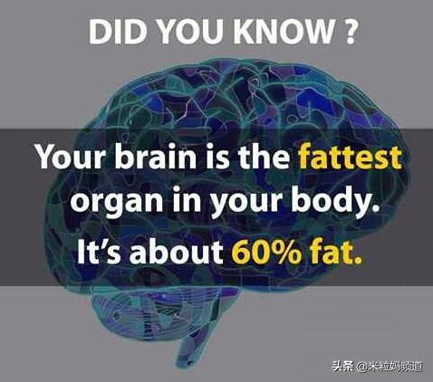 便秘是因为大肠缺水吗,宝宝便秘是因为油少了吗