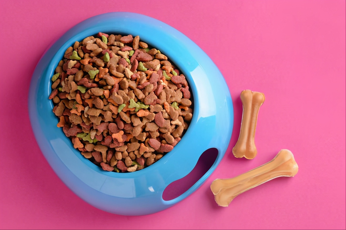 狗狗吃什么能增肥,狗狗吃什么增肥最快最有效