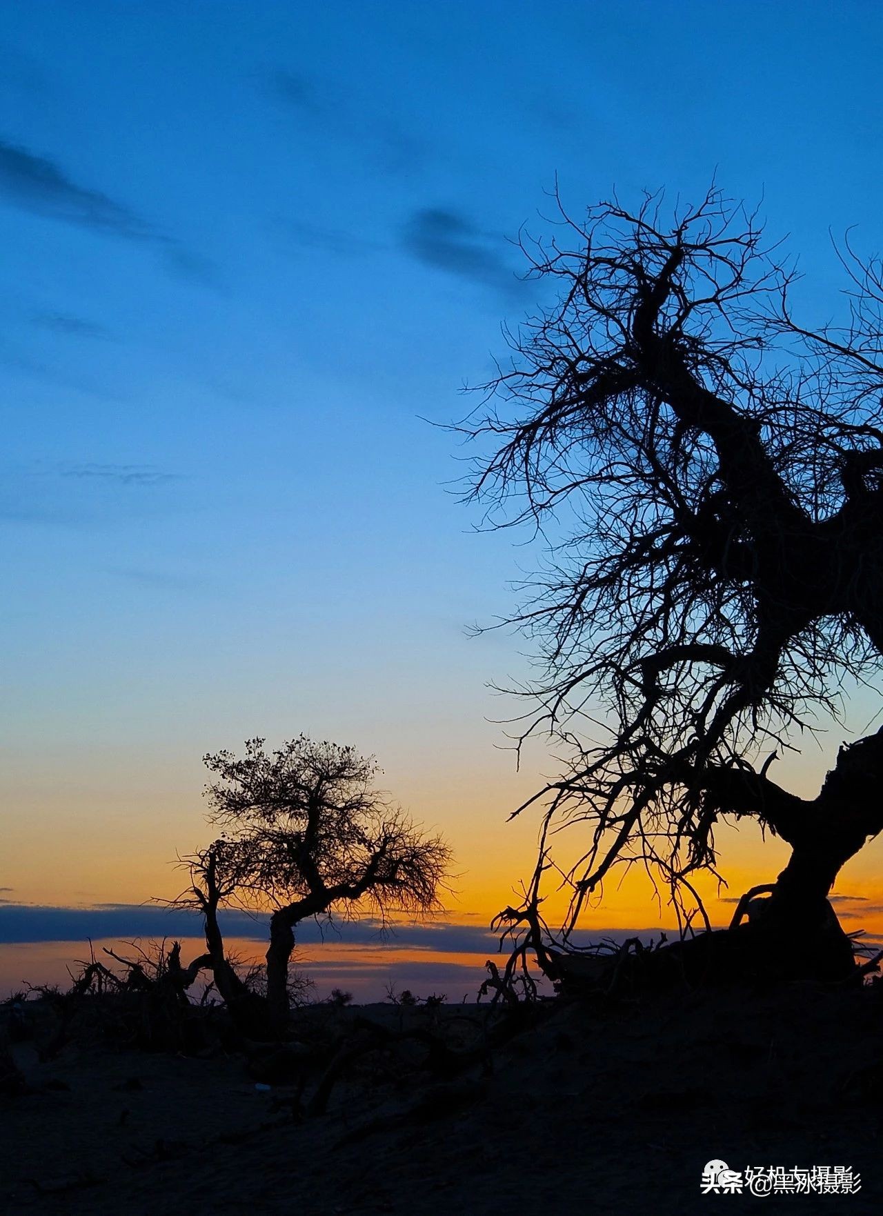 超广角和长焦镜头哪个更实用,广角镜头和长焦镜头优缺点