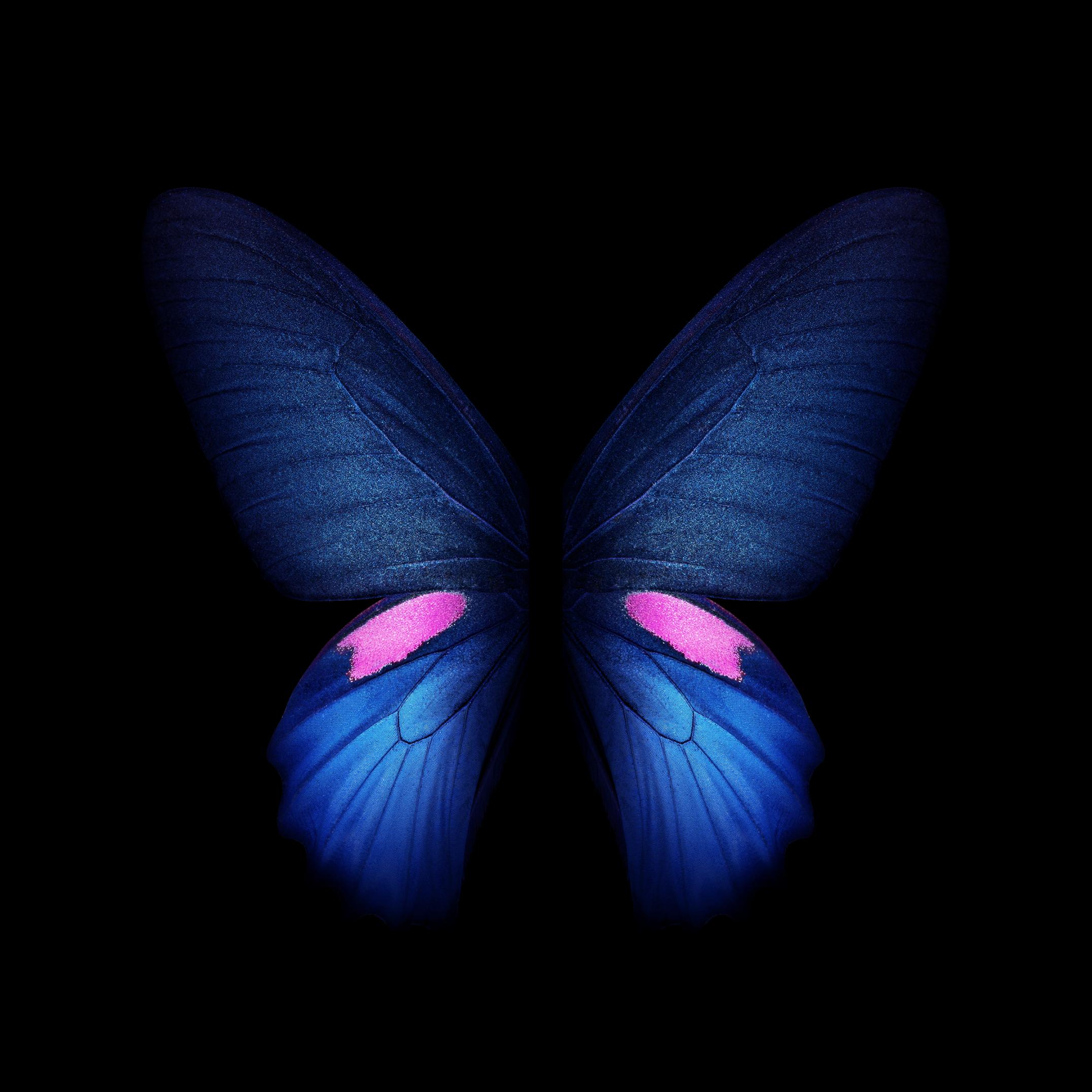 三星fold3tb联名版主题壁纸,三星fold顶级绝美全屏壁纸