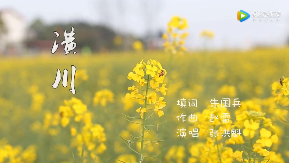 潢川90后的小伙,潢川音乐人全部视频