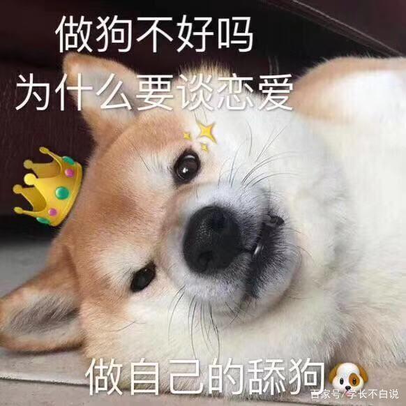 受同学刻意排挤和孤立了怎么办,因为不合群被霸凌