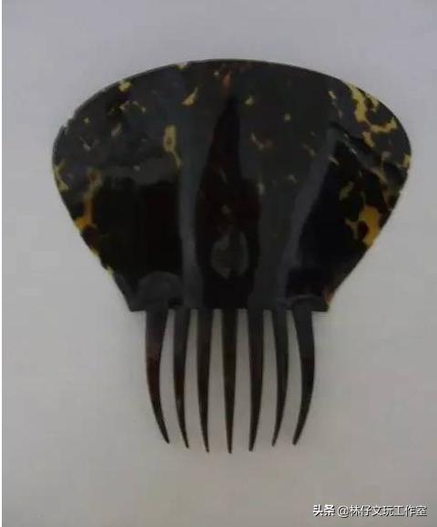 玳瑁保持颜色是如何处理的,为什么玳瑁一般人最好别碰