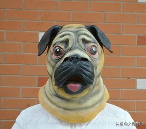 病毒有多厉害动画,病毒到底有多大的威力