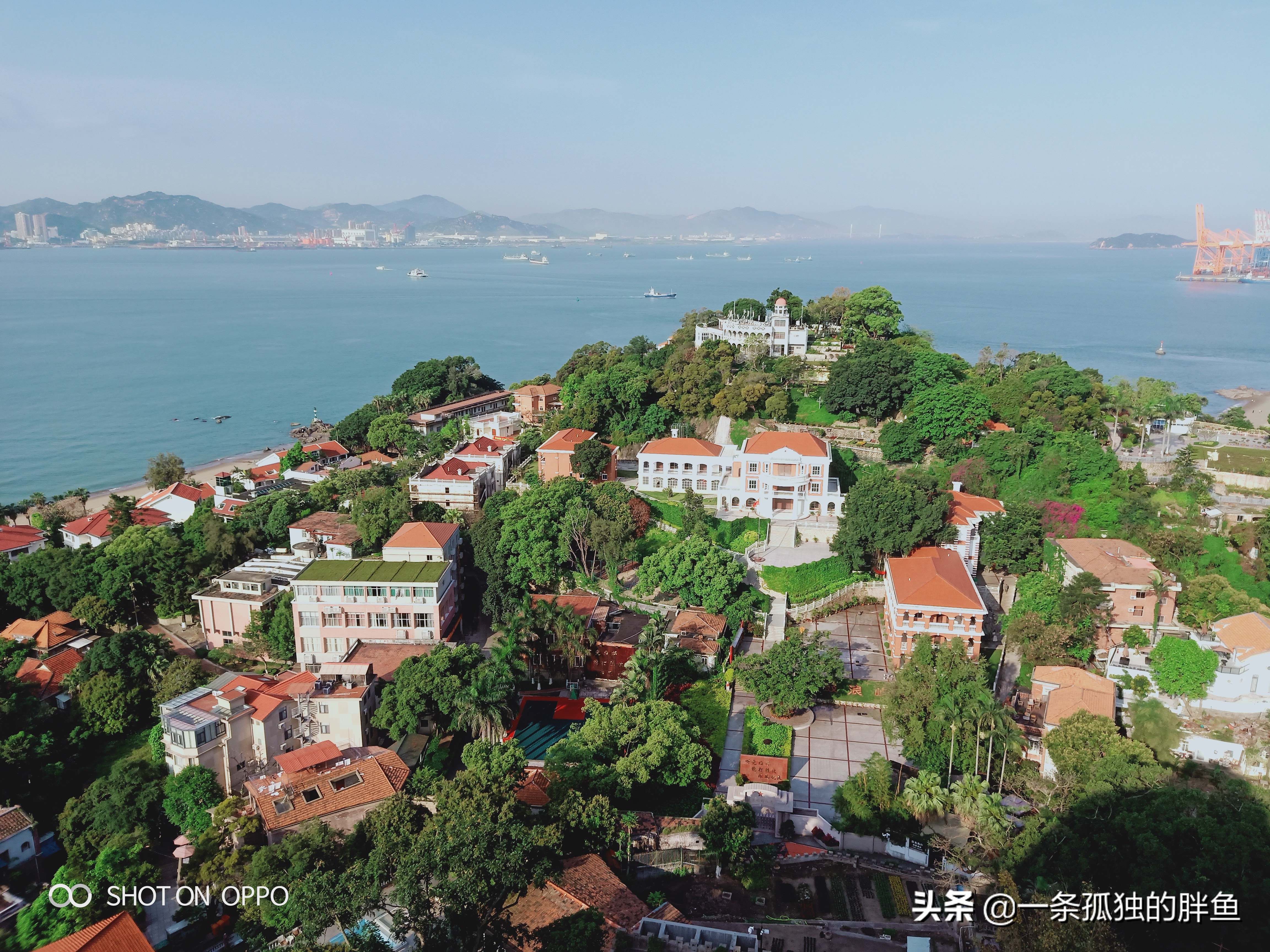 厦门旅游攻略4天三晚详细,厦门游玩攻略5天4晚图文