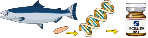 美容行业的婴儿针是什么,婴儿针美容产品