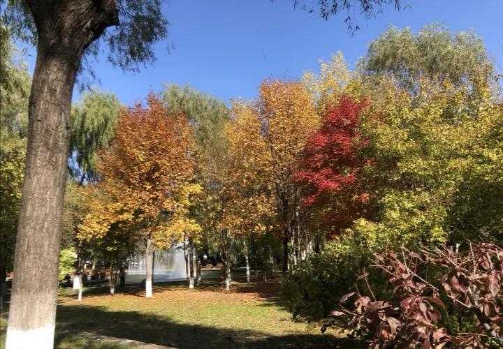 吉林农业科技学院在吉林省哪个市,2022吉林高校学科规模