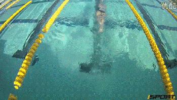 爬泳转身技术,爬泳中后交叉教学