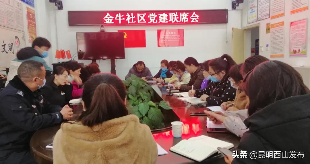 党建引领实施三红工程,社区党员学党史活动特色