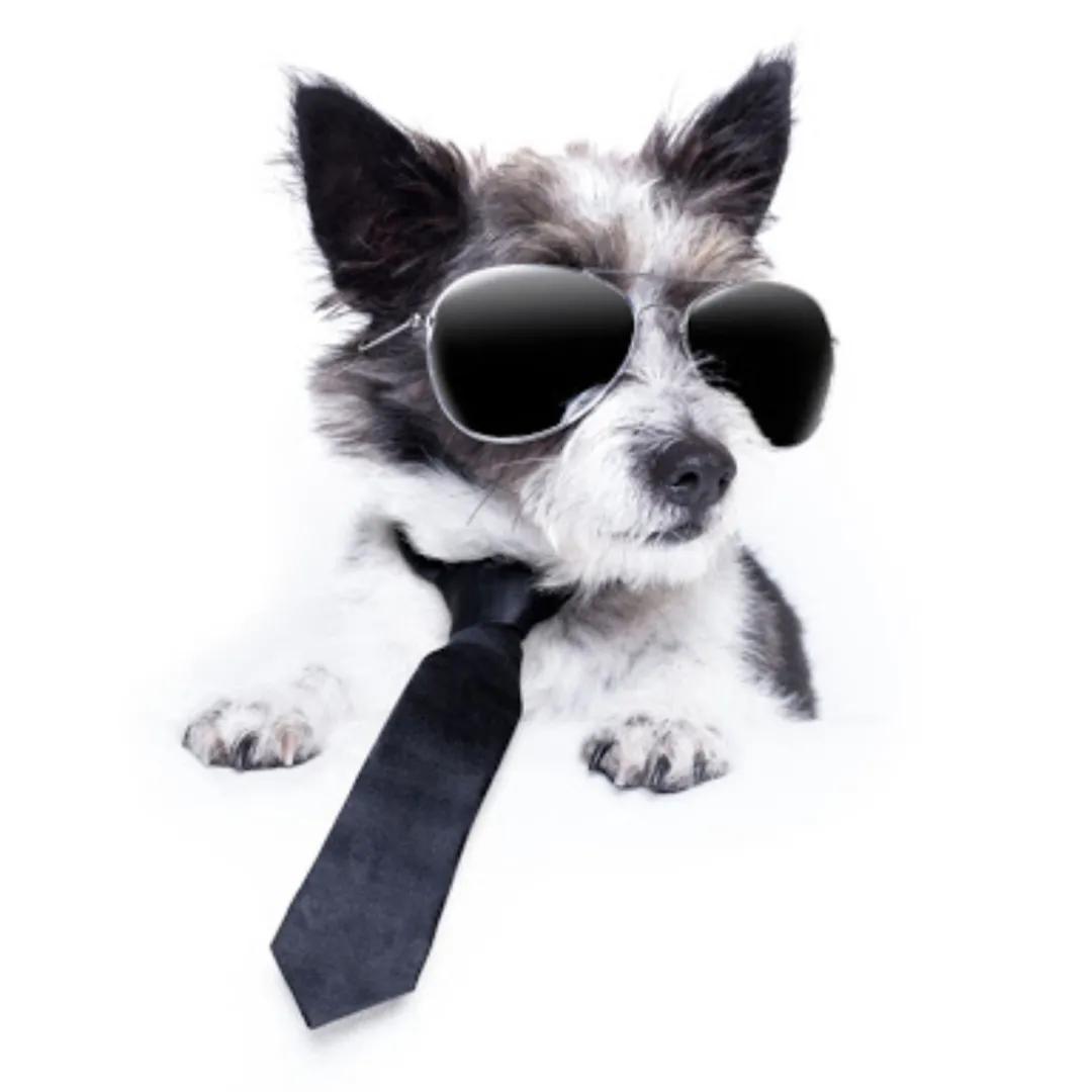 保姆式讲解一张图片做一个logo