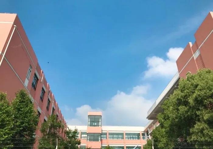 学校德育教育新模式,德育教育的常见问题