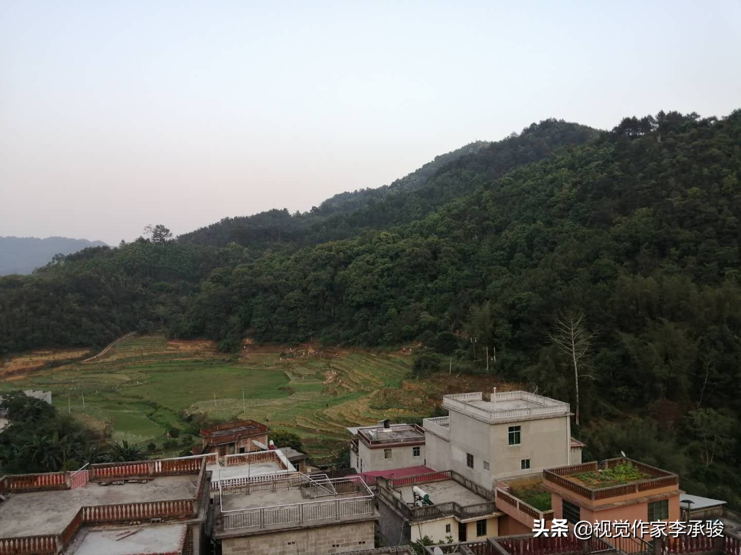 哦，德保县荣华乡乐屯，我土土的故乡和土土的家乡人，春天好！