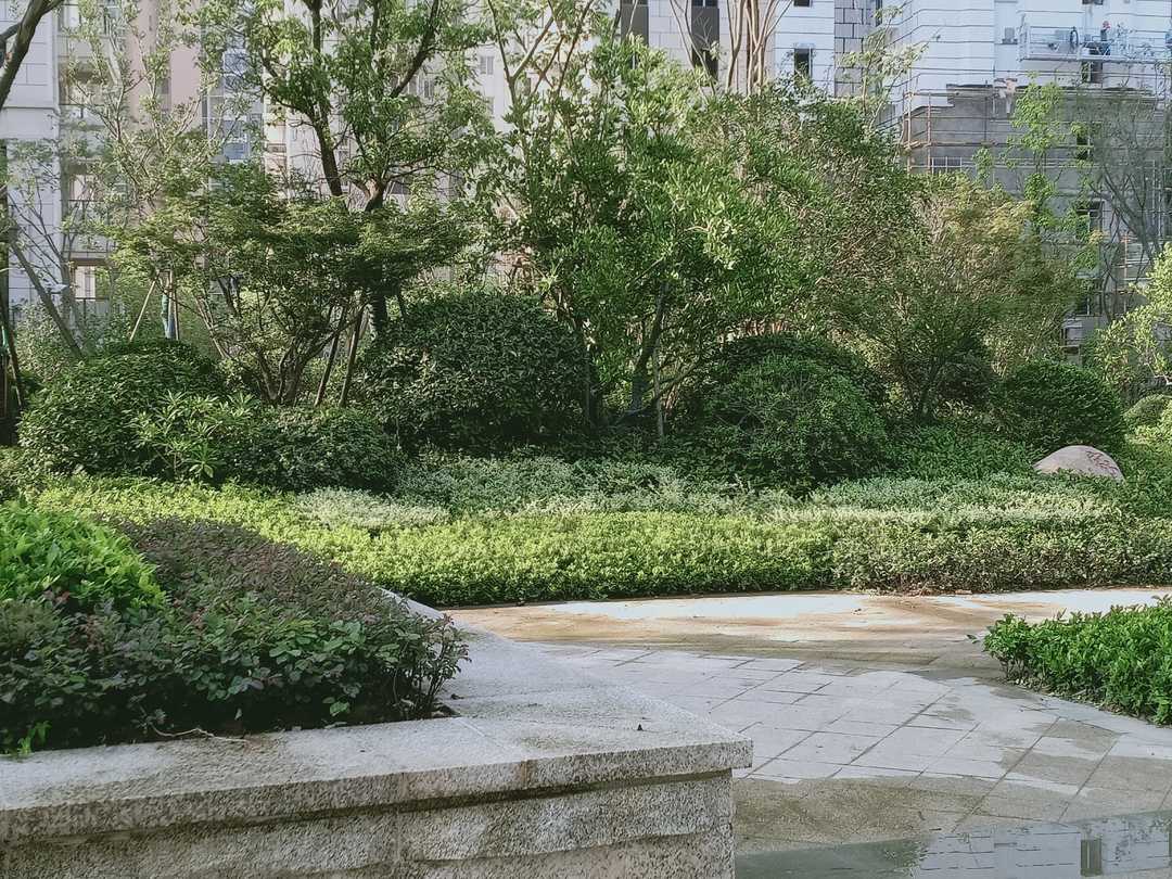 忆当初青春年少,再忆年少时已不再年少