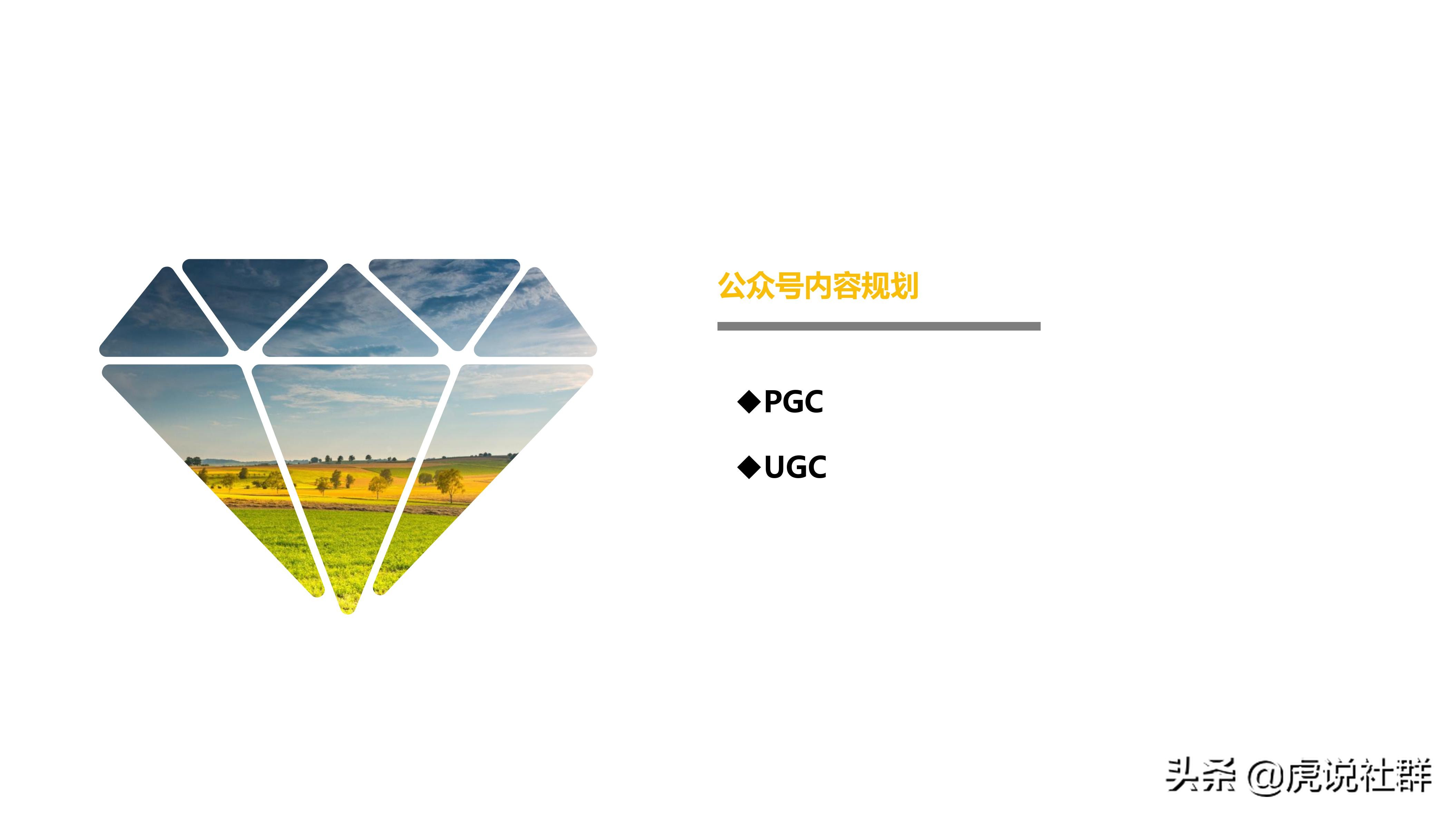 旅游项目策划方案价格,旅游项目策划团队