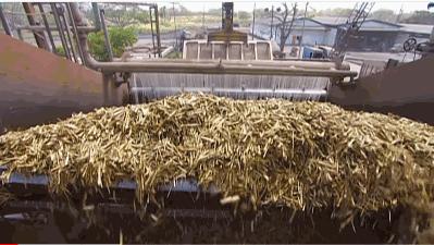 一包白砂糖图片,一包白砂糖有多少粒糖