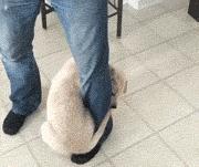 揭秘互联网比较常见的网赚骗局,知识分享割韭菜新套路