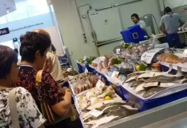 曝光黑心鱼商,悉尼海鲜鱼市场