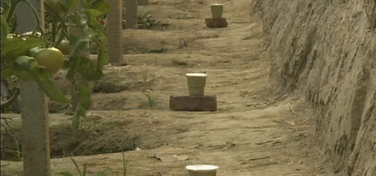 烟熏剂可以提高大棚里温度吗,大棚烟熏剂点不着是怎么回事