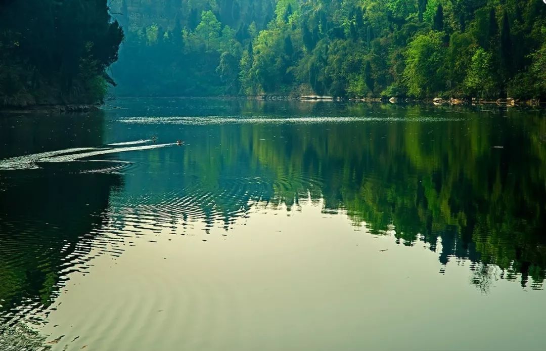 重庆有哪些适合钓鱼的地方,2019重庆钓鱼好去处