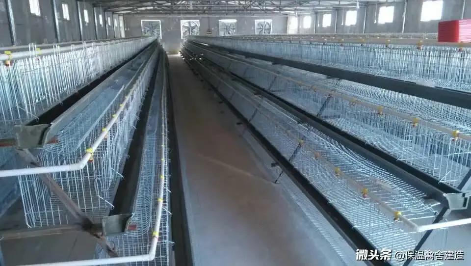 彩钢保温鸡舍建造方法,怎样建简单的鸡舍