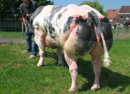 英国人春节习俗,英国人风俗文化