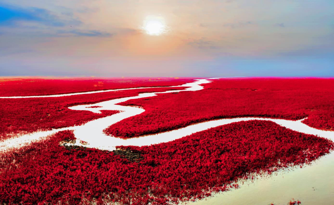 盘锦红海滩五月去好吗,五一盘锦红海滩