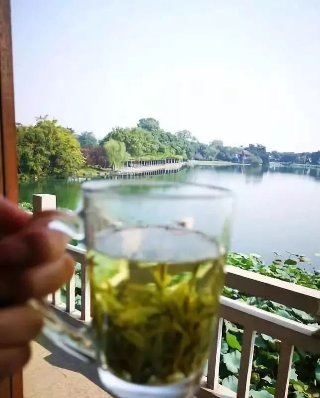 花港一楼茶楼,花港早茶