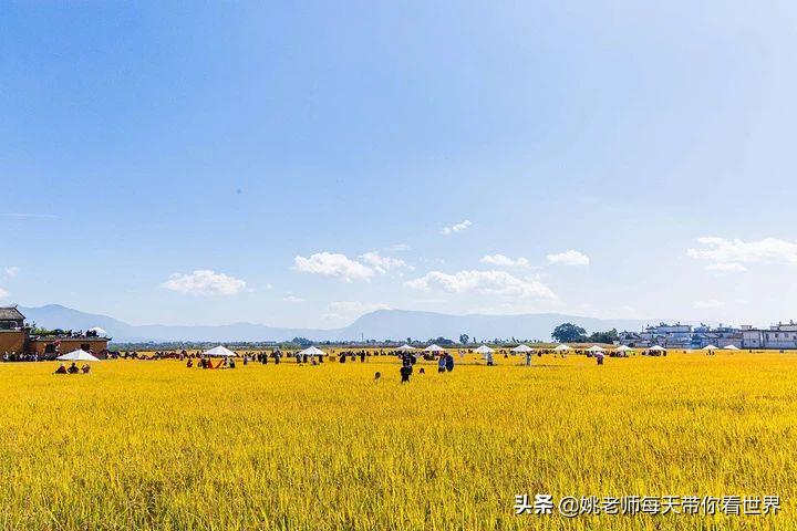 2月旅游灵感,旅游2月攻略最佳自由行