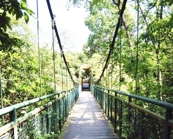 成都向西看最高的山,成都最高的山峰