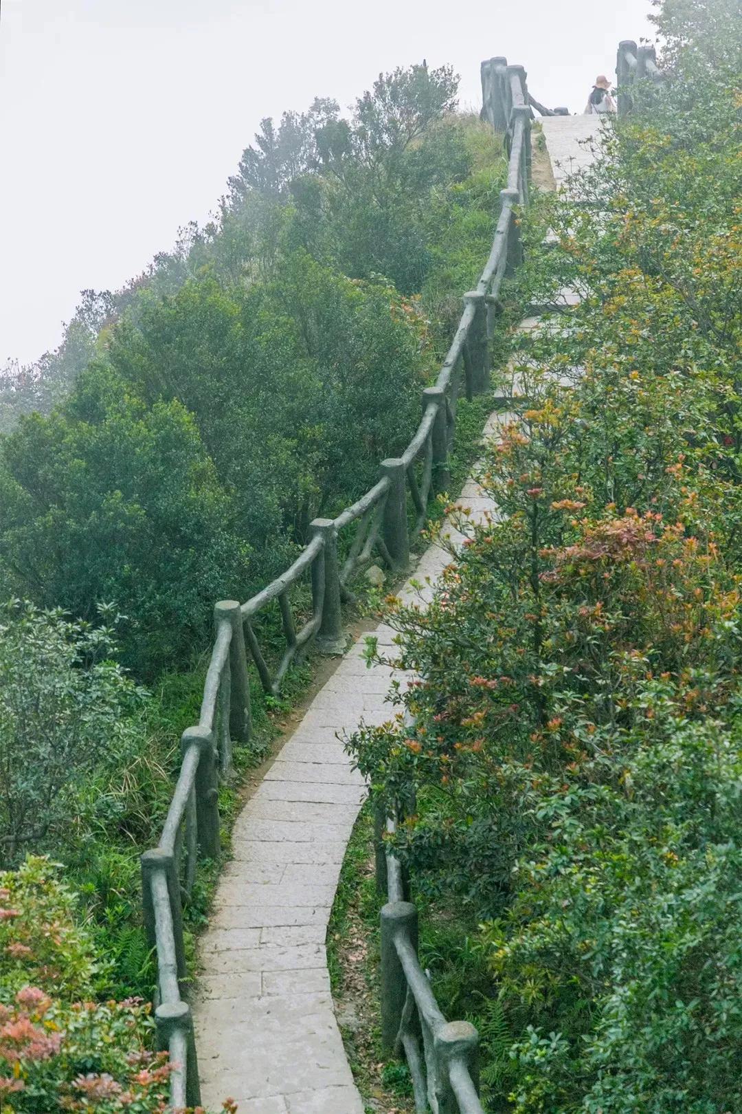 深圳值得打卡的建筑物,深圳最值得打卡的山