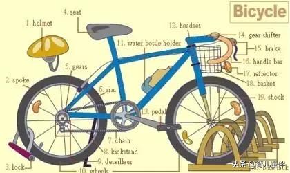 34张图让孩子记住英语中所有生活用词！老师惊呼，太值了