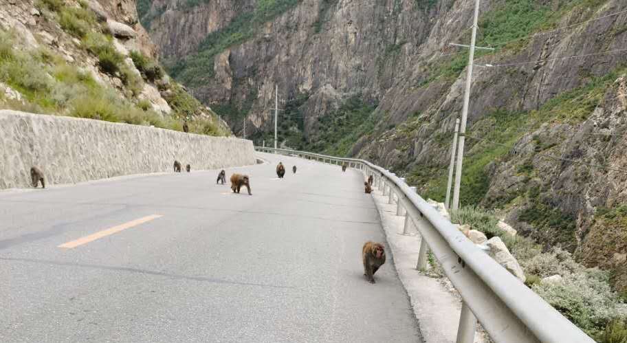 鬼哥的五万里D57说说印度这样的邻居-2（山南市-加查县）