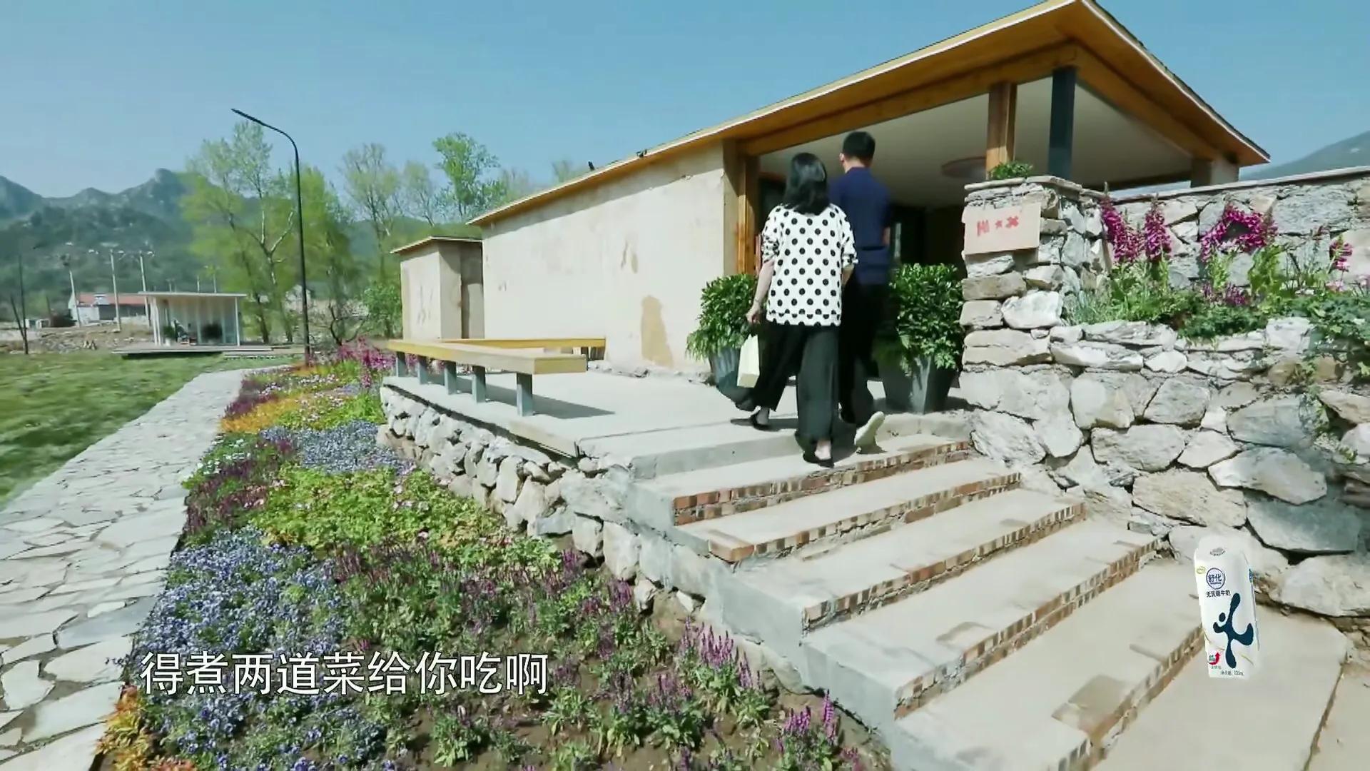 大s喜欢甄嬛传,大s本来要演甄嬛哪个角色