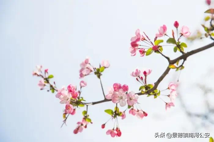 诗词｜腹有诗书气自华，一生必读的180首诗词！（值得收藏）