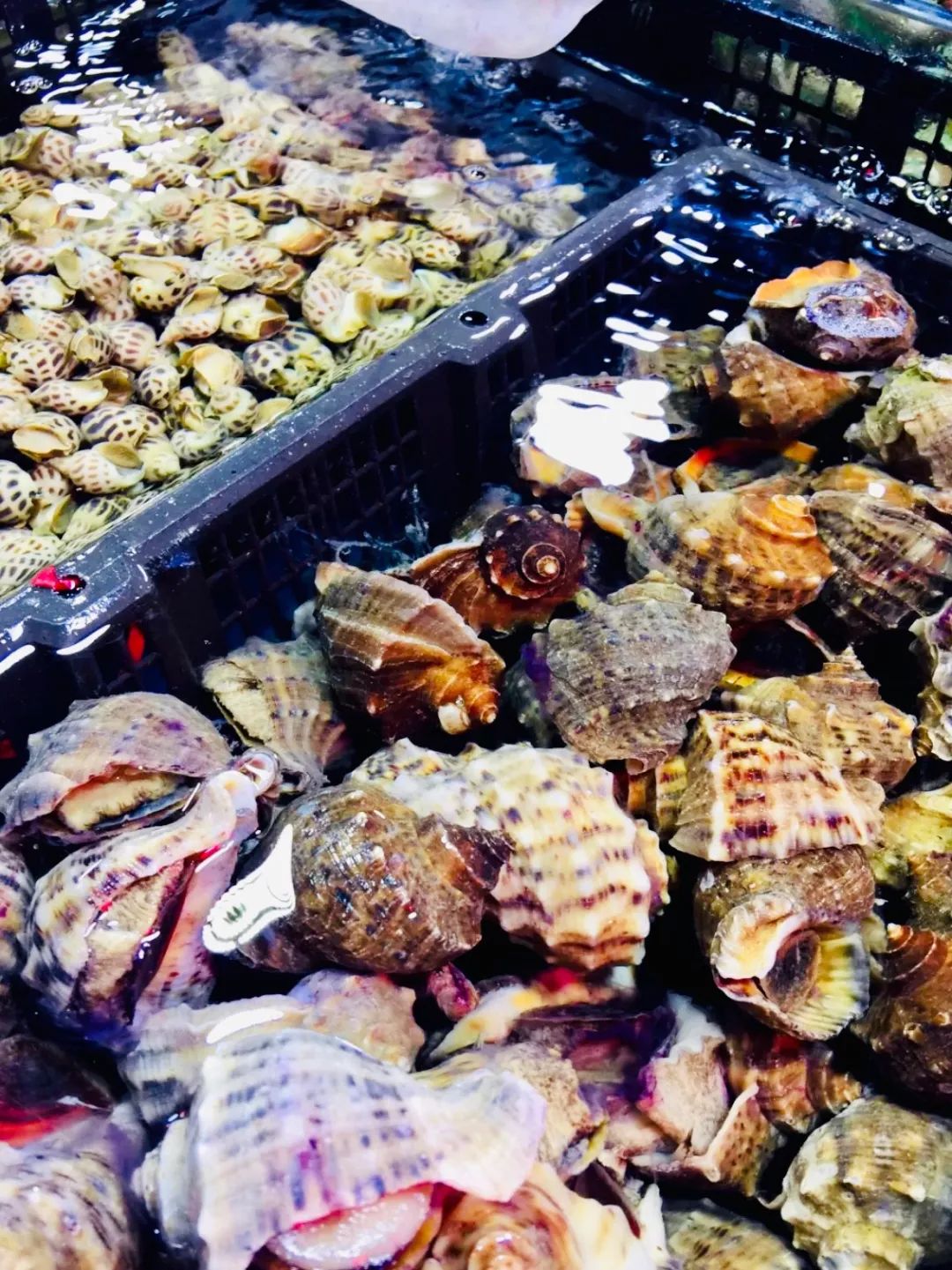 最新最全版私藏版《西安批发市场地图》来啦