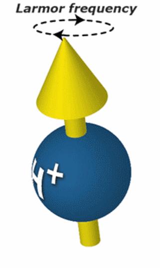 脑成像,脑成像技术是什么研究方法