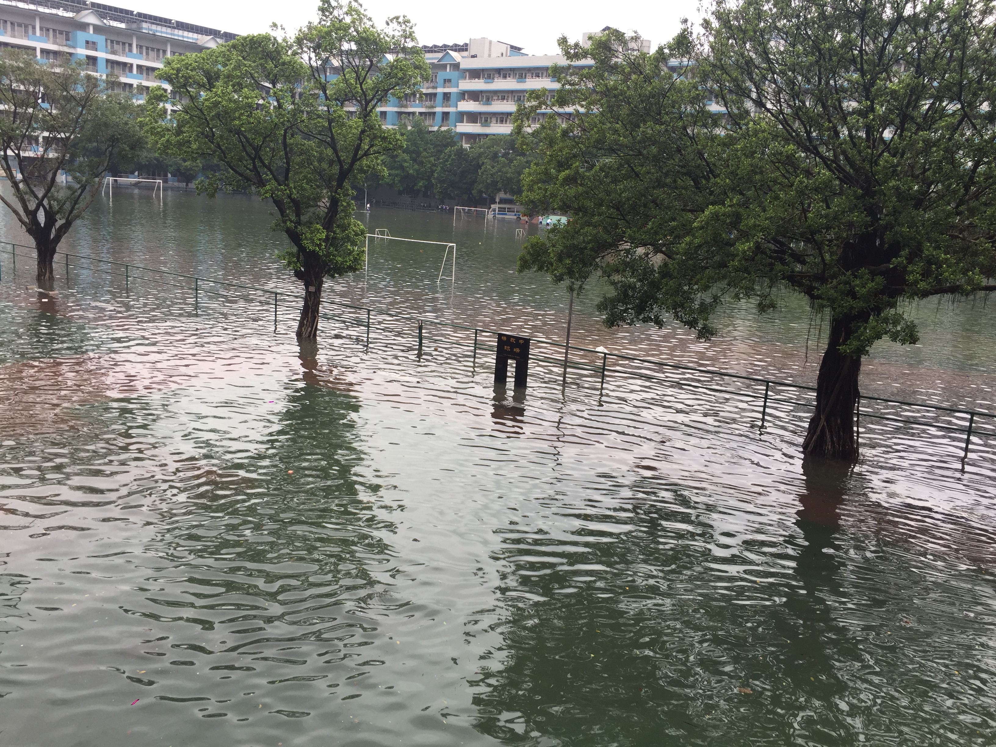 虽有遗憾但也无悔,高考遗憾但不后悔