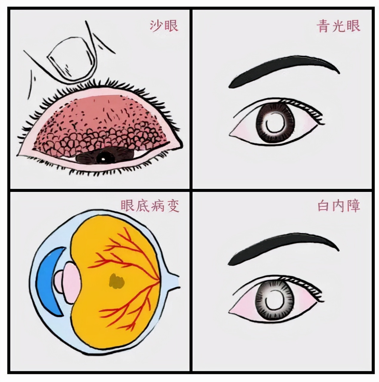 国际盲人节你的眼中能看到他们吗,国际盲人节