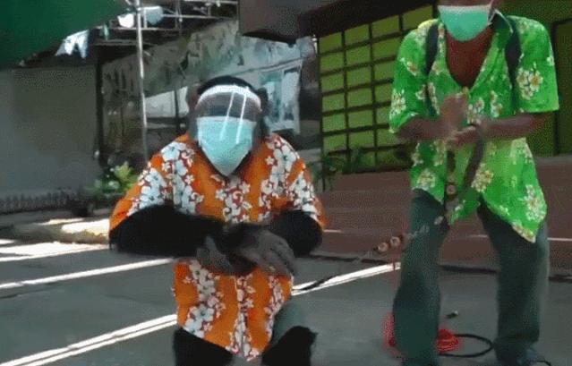 帅哥裸露卖榴莲、猩猩骑车消毒，疫情下的泰国又搞笑又心酸