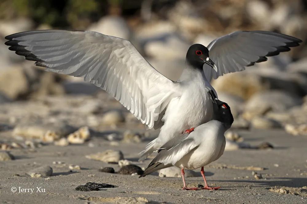 情人节，就该和爱的人*爱做**做的事