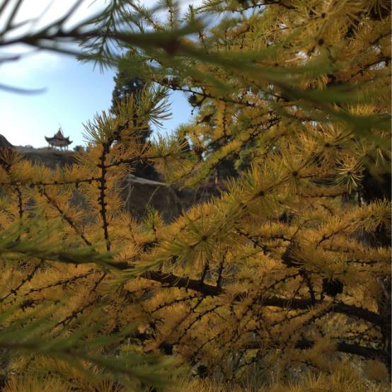 旅行是为了遇见更好的自己,原创旅途愉快