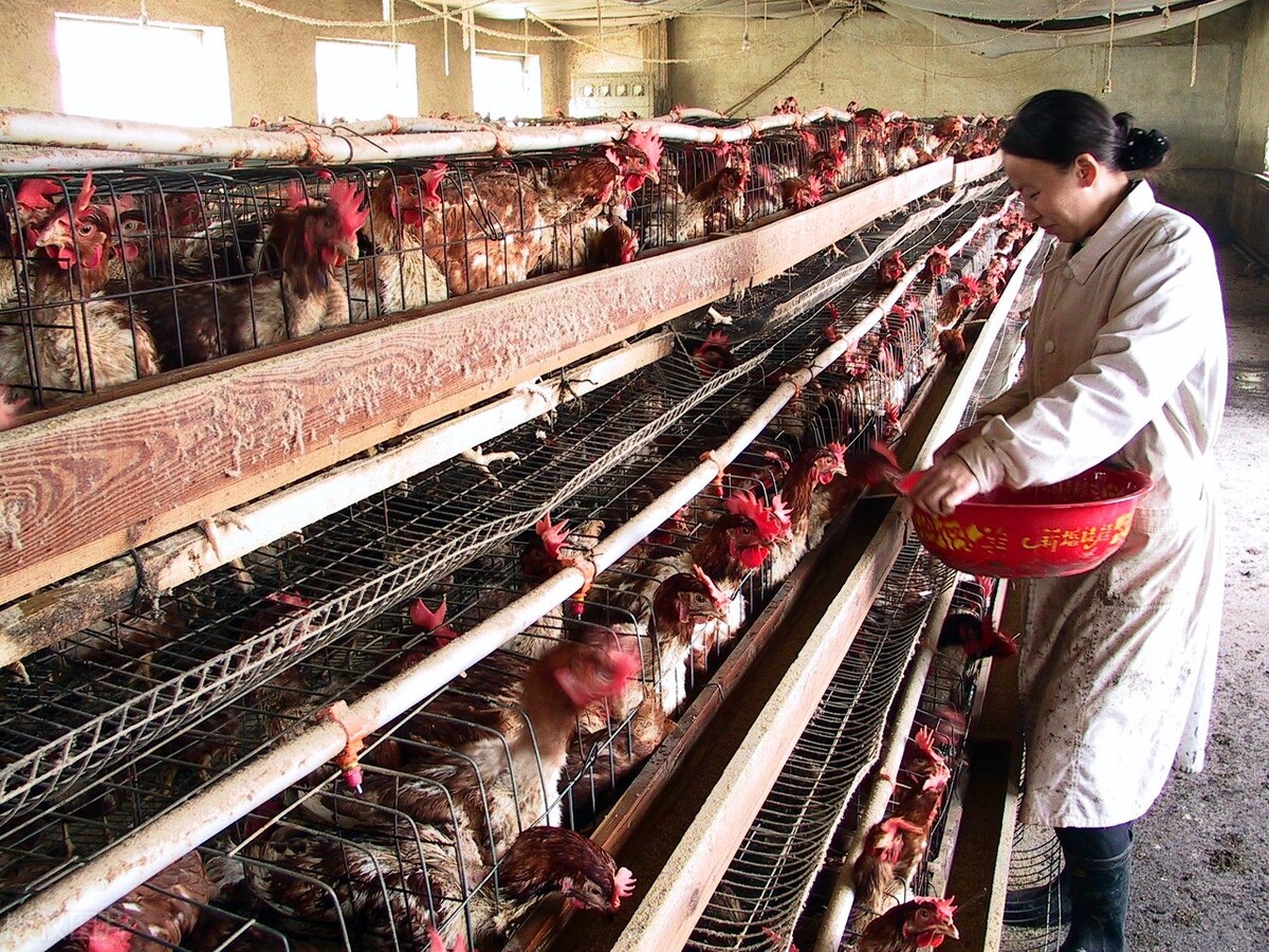 常州24个重大项目签约,2019年常州赚钱商机