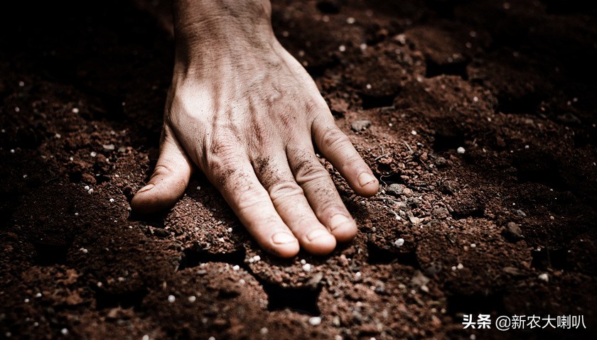 土壤酸碱度5.5是什么样的土壤,给土壤浇水可以判断土壤酸碱度吗