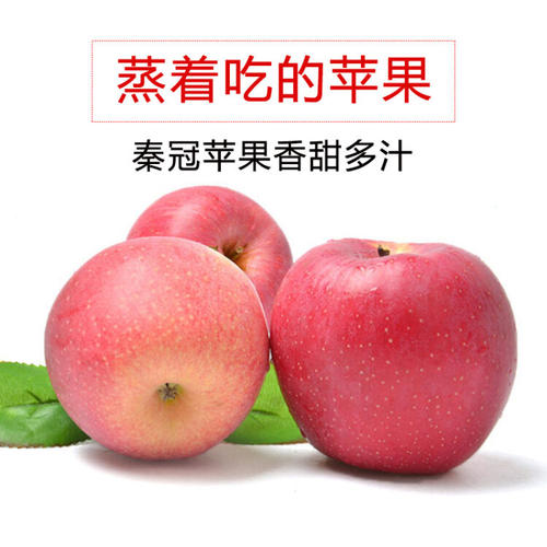 怎么能买到正宗的洛川苹果,教你挑苹果