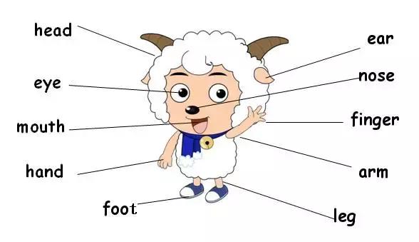 小学阶段英语单词分类学习大全