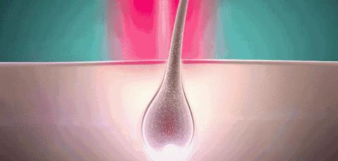 泰国生姜洗发水防脱发,泰国防脱发生姜洗发水