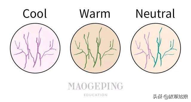 雅诗兰黛dw系列色号怎么选 (怎么选择雅诗兰黛dw色号)