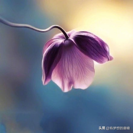 心理学解释父母的爱,成长型父母的心理分析