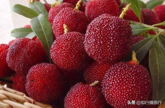 苏州太湖西山岛江浙沪最强攻略,太湖西山岛旅游完整攻略